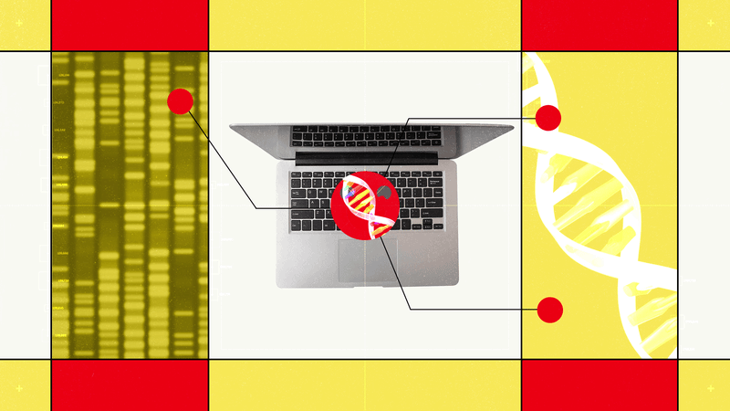 Hugging Face’s New AI Biology Model Lets You Chat With DNA — Wired, San Francisco Technology news