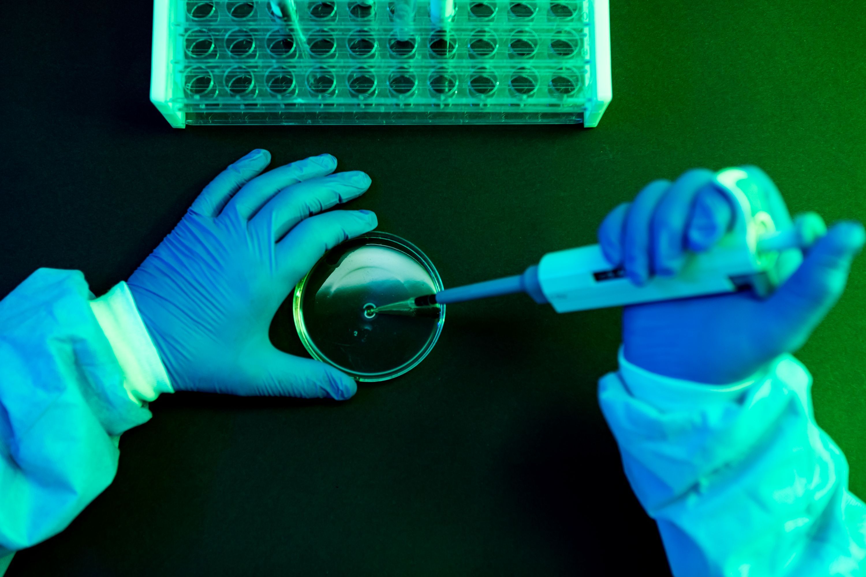What to Know About Shamonda Virus Following the First Reported Human Infection — Wired, San Francisco Technology news